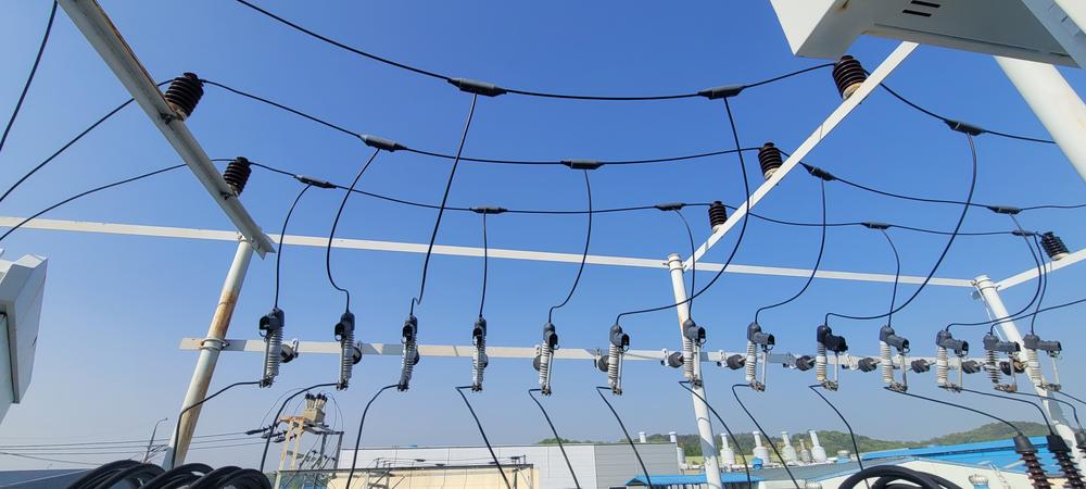 29621_copy_30231_3695294320_LD0VJs6F_df059f461e568c49935d3f2f38c6022e15d67376.jpg 이미지크게보기