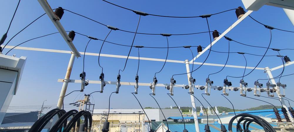 29621_copy_30231_3695294320_ncZyWlLa_bbd5fffd88f9c1250edfbf90ebcdcb90cd0ad12d.jpg 이미지크게보기