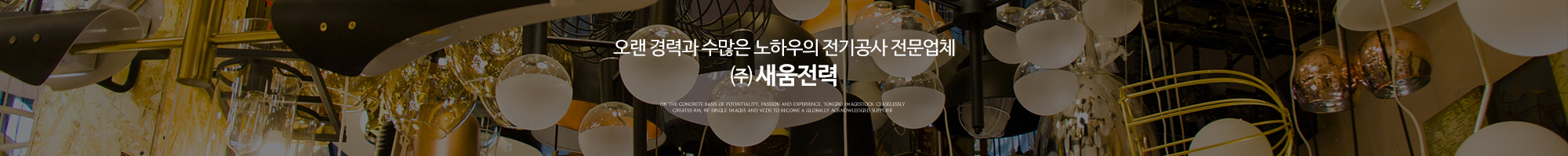 ㈜새움전력_이미지pc